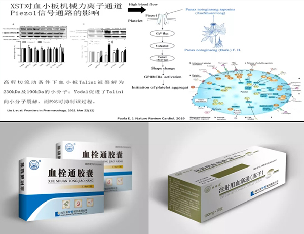 1632887739 j9.com-(中国区)九游会j9官方网站