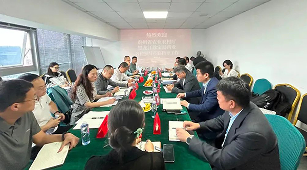 1717397463 j9.com-(中国区)九游会j9官方网站