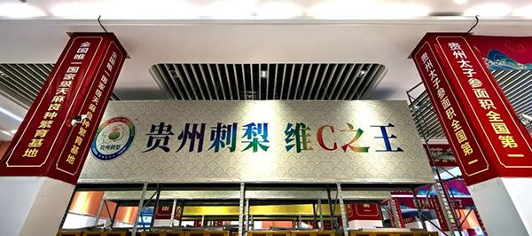 j9.com-(中国区)九游会j9官方网站