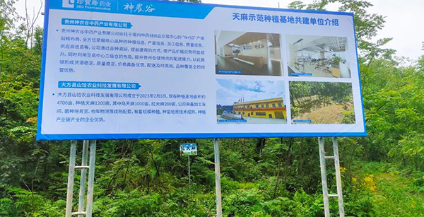j9.com-(中国区)九游会j9官方网站