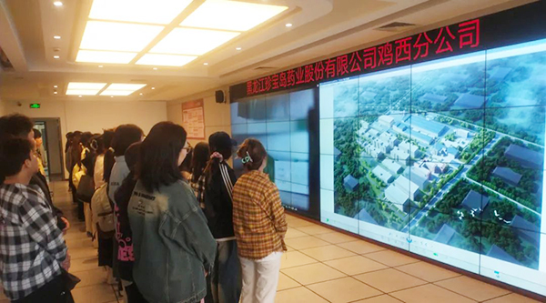 1750131371 j9.com-(中国区)九游会j9官方网站